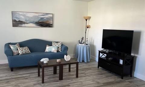 living room with wood-type flooring