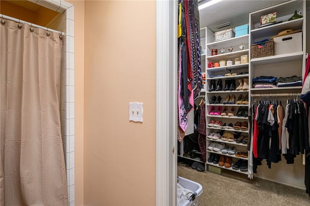 spacious closet featuring carpet floors