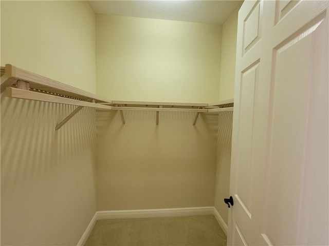 spacious closet with light carpet