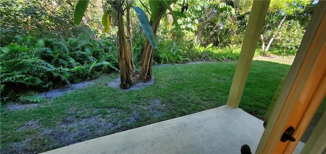 view of yard featuring a patio