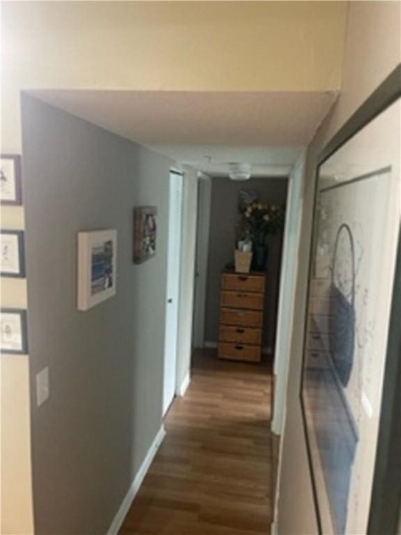 corridor with hardwood / wood-style flooring