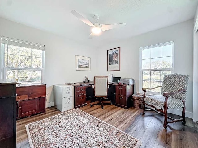 office area featuring plenty of natural light, ceiling fan, and light hardwood / wood-style flooring