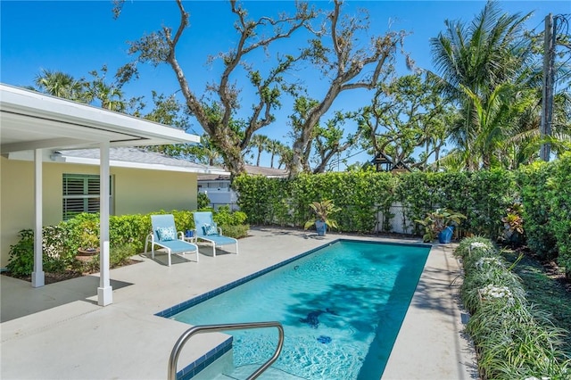 view of pool featuring a fenced in pool, a patio, and a fenced backyard