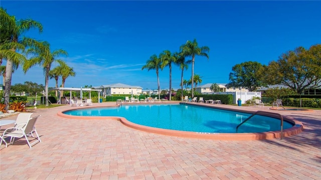 view of pool with a patio