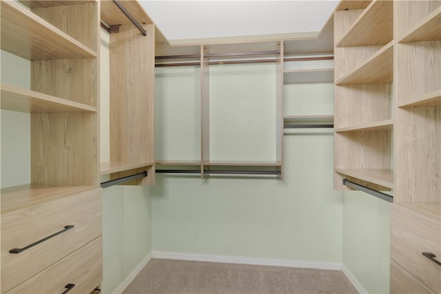 spacious closet featuring light colored carpet