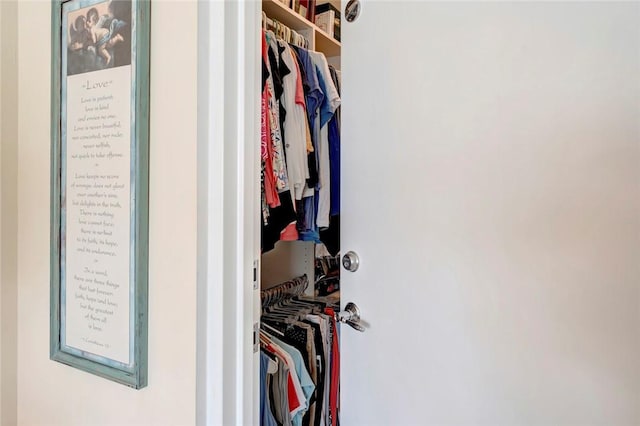 view of spacious closet
