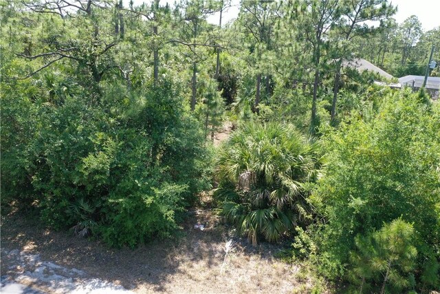 3024 Oakwood Ave SE, Palm Bay, FL 32909 - photo 5