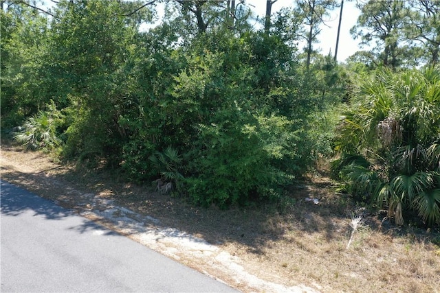 3024 Oakwood Ave SE, Palm Bay, FL 32909 - photo 1