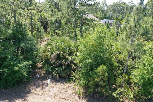3024 Oakwood Ave SE, Palm Bay, FL 32909 - photo 8