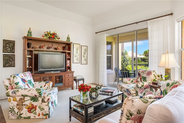 living room with carpet flooring