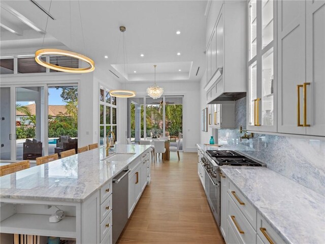kitchen with tasteful backsplash, a tray ceiling, a sink, a kitchen island with sink, and appliances with stainless steel finishes