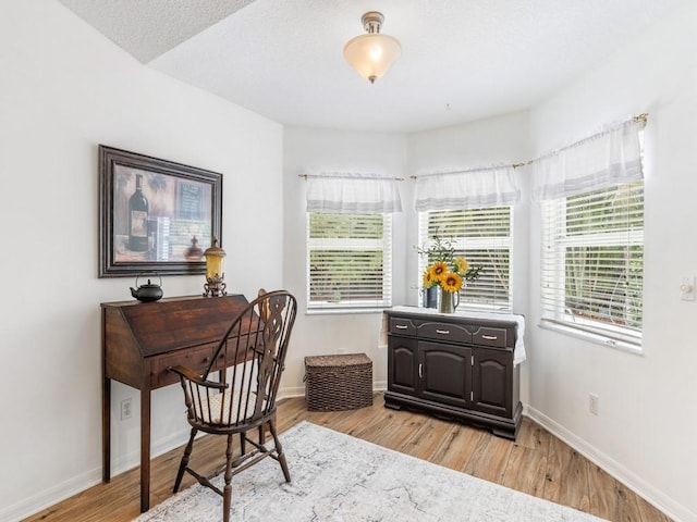 office space with light hardwood / wood-style floors