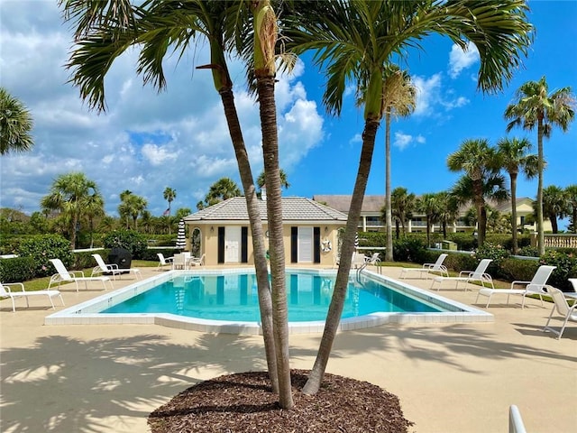 view of pool with a patio