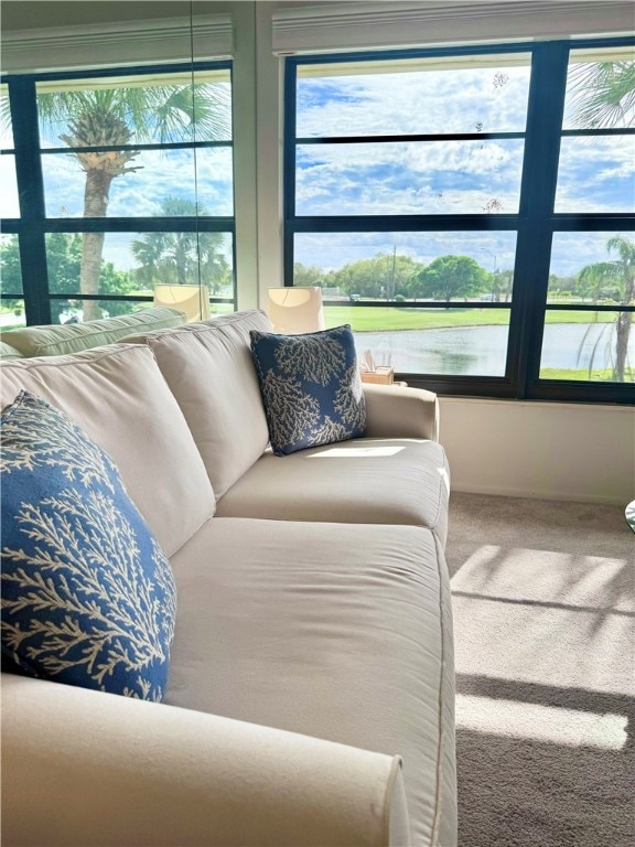 bedroom with carpet floors and a water view