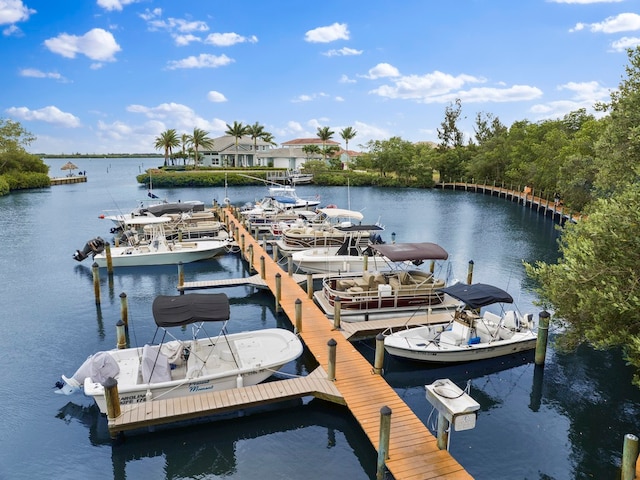 view of dock featuring a water view