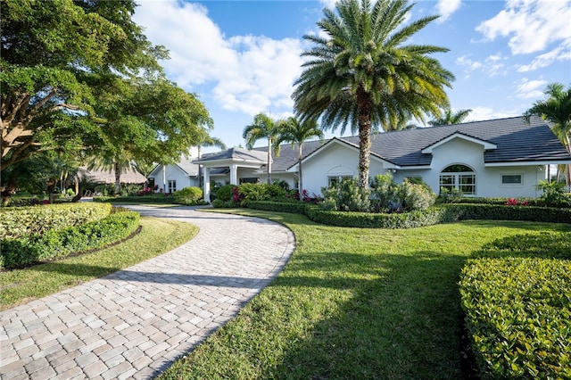 view of front facade featuring curved driveway, a front yard, and stucco siding