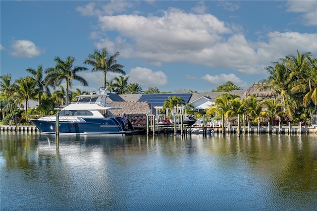 water view featuring a boat dock