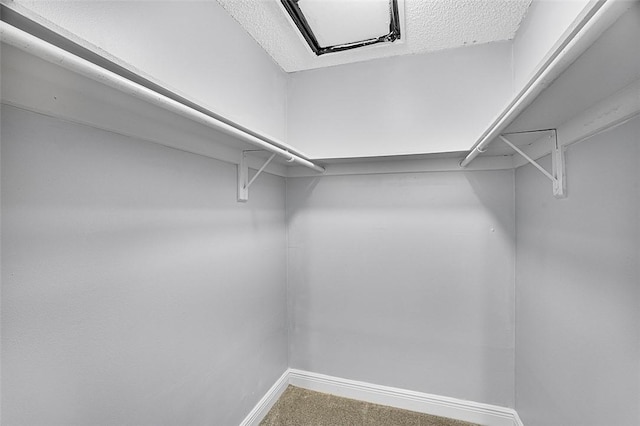 1901 Indian River Blvd Unit 202D, Vero Beach, FL 32960 - walk in closet with carpet