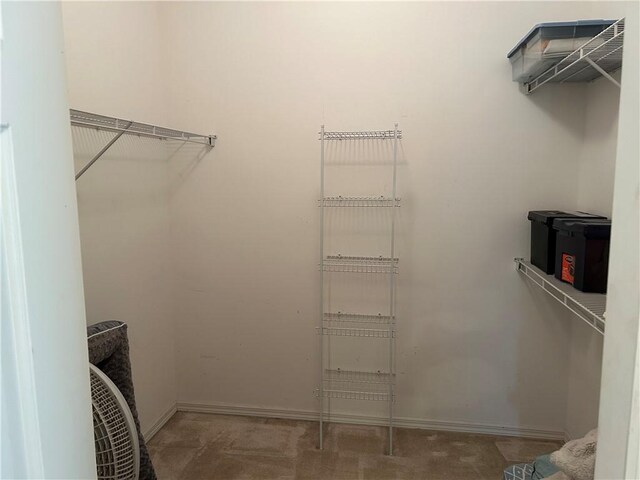 8475 101st Ct, Vero Beach, FL 32967 - walk in closet with carpet flooring