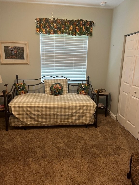 bedroom with carpet flooring and a closet