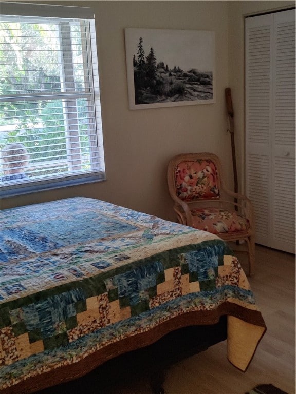 bedroom featuring multiple windows, a closet, and wood-type flooring