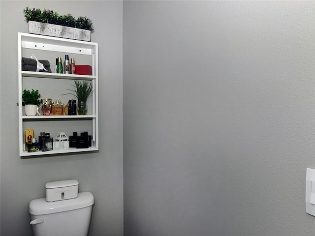 interior space featuring toilet