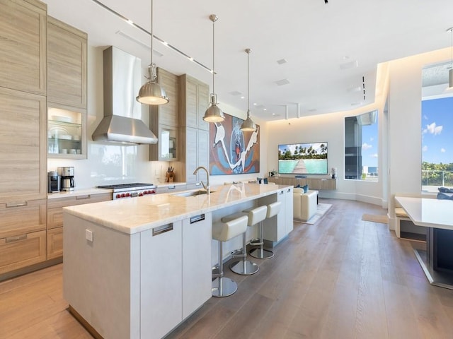 111 Mariner Beach Ln, Vero Beach, FL 32963 - kitchen with extractor fan, a large island with sink, light wood-style floors, and glass insert cabinets