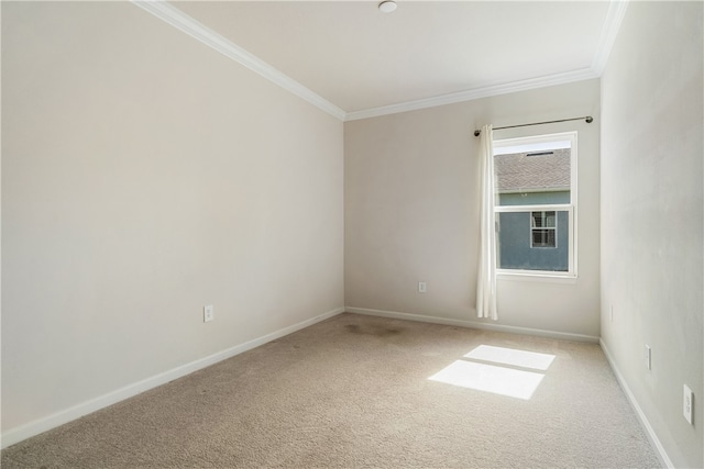 empty room with carpet floors and crown molding