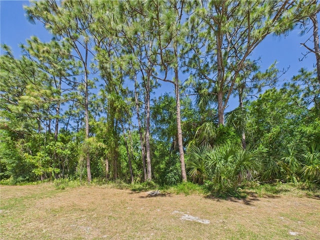 1458 Stonecrop St, Sebastian, FL 32958 - view of nature