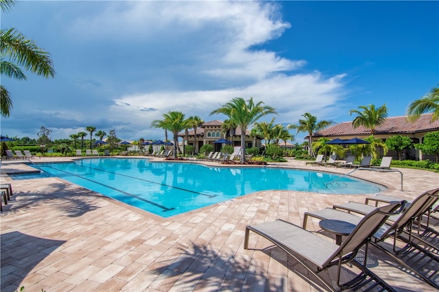 view of pool with a patio area