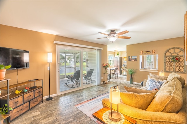 living room featuring a wealth of natural light, sink, ceiling fan, and wood-type flooring