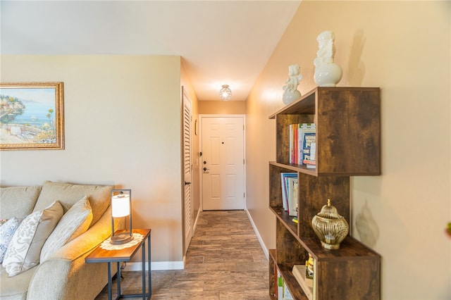 hallway featuring wood-type flooring