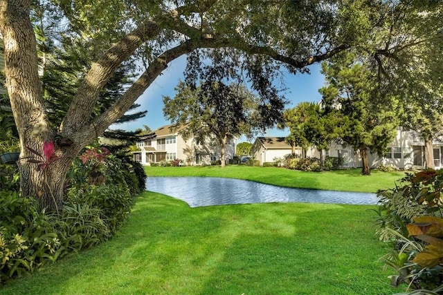 view of yard with a water view