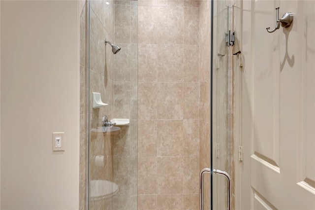 bathroom featuring a shower with shower door