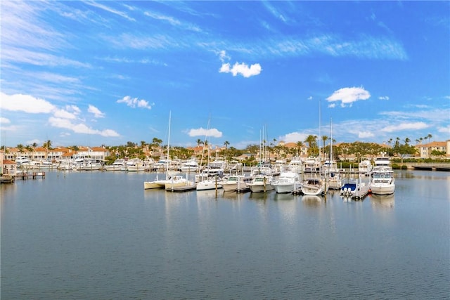 property view of water with a dock