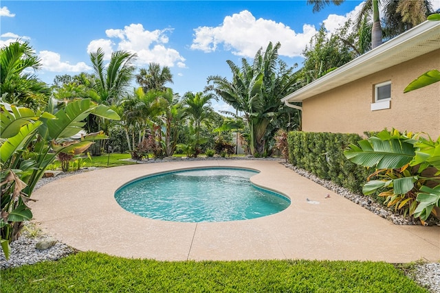 view of swimming pool with a patio area