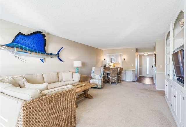 carpeted living room with a textured ceiling