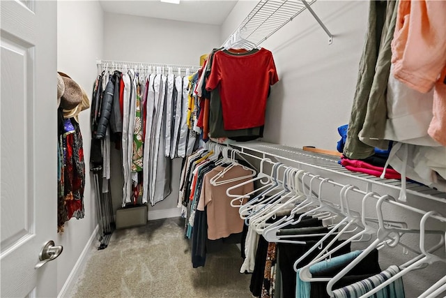 spacious closet featuring carpet flooring