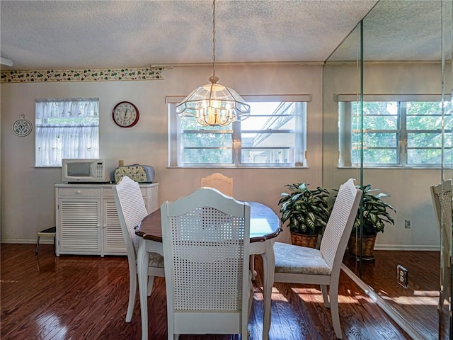 dining room featuring plenty of natural light, dark hardwood / wood-style floors, and a textured ceiling