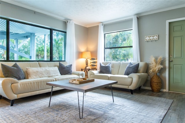 living room featuring hardwood / wood-style flooring, crown molding, and a textured ceiling