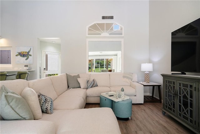 living room featuring wood-type flooring