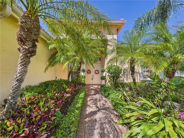 property entrance with stucco siding