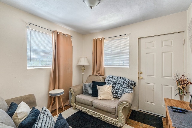 living room with wood-type flooring