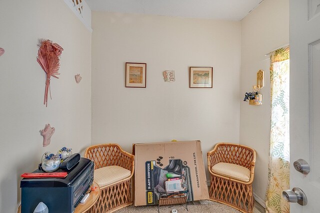 living area featuring carpet flooring