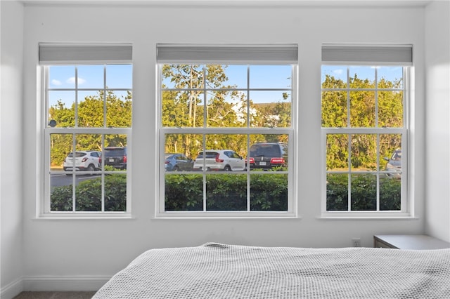 bedroom with multiple windows