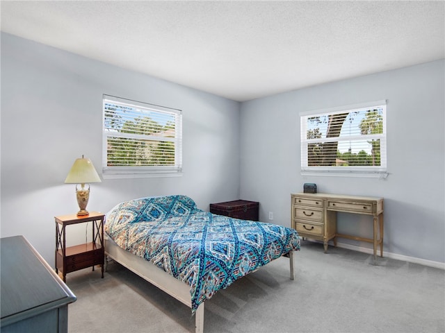 bedroom featuring a textured ceiling, carpet floors, and multiple windows