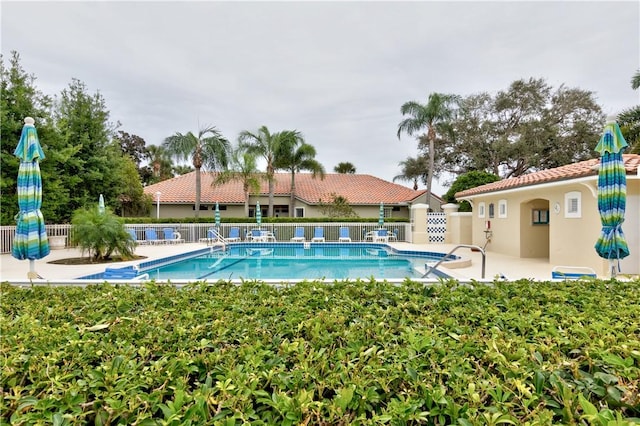 view of swimming pool