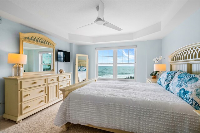 bedroom with carpet flooring, ceiling fan, and a tray ceiling