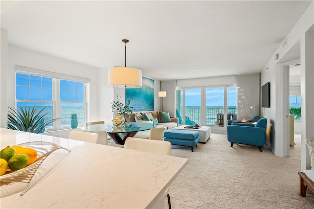 living room featuring a water view and light carpet