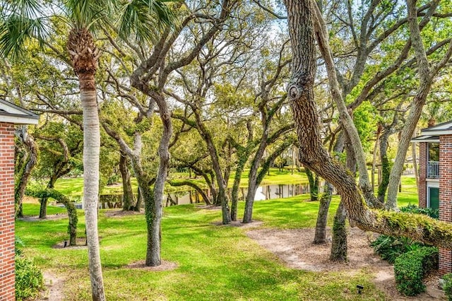 view of home's community with a yard